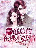《拒爱101：邵总的在逃小妖精》小说封面