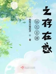《钻石王牌之存在感》小说封面