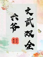 《六爷文武双全》小说封面