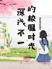 《深浅不一的校服时光》小说封面