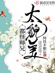 《都怪师兄太貌美》小说封面
