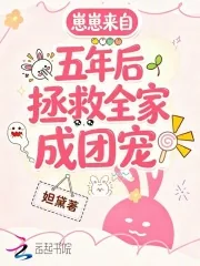 《崽崽来自五年后，拯救全家成团宠》小说封面