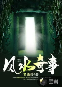 《风水奇事》小说封面