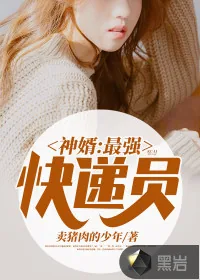《神婿：最强快递员》小说封面
