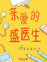 《亲爱的盛医生》小说封面