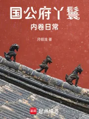 《国公府丫鬟内卷日常》小说封面