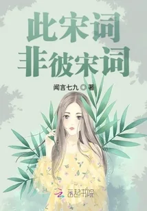 《此宋词非彼宋词》小说封面