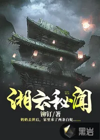 《湘云秘闻》小说封面