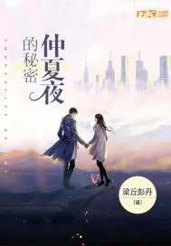 《仲夏夜的秘密》小说封面