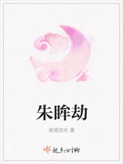 《朱眸劫》小说封面