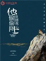 《他偷偷降落到我心上》小说封面