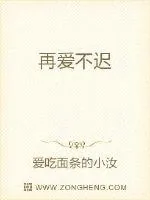 《再爱不迟》小说封面