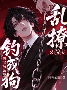 《他乱撩又貌美,阴湿病娇被钓成狗》小说封面