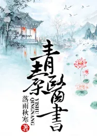 《青囊医书》小说封面