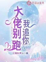 《我追你，大佬别跑》小说封面