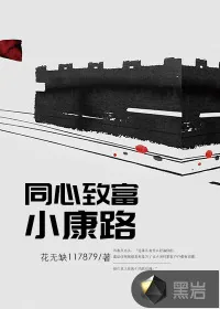《同心致富小康路》小说封面
