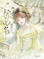 《清穿之二嫁四爷》小说封面