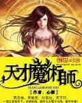 《天才魔术师》小说封面