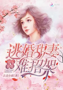 《错爱成瘾：逃婚甜妻，难招架！》小说封面