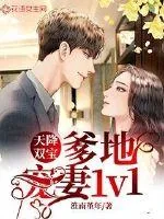 《天降双宝：爹地宠妻1v1》小说封面