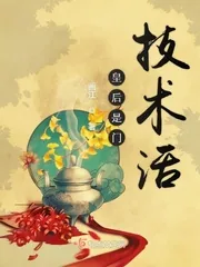 《皇后是门技术活》小说封面