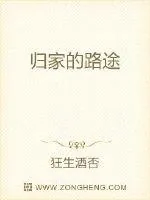 《归家的路途》小说封面