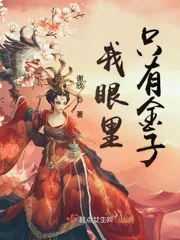 《我眼里只有金子》小说封面