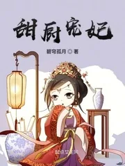 《甜厨宠妃》小说封面