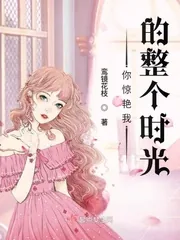 《你惊艳我的整个时光》小说封面