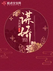 《谋娇》小说封面