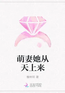 《萌妻她从天上来》小说封面