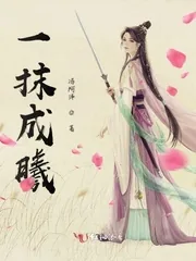 《一抹成曦》小说封面
