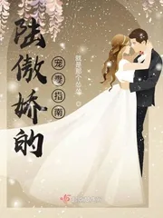 《陆傲娇的宠妻指南》小说封面