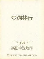 《梦溯林行》小说封面