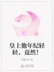 《皇上他年纪轻轻，竟然！》小说封面