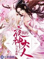 《我的夜神大人》小说封面