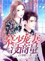 《慕少,宠妻没商量》小说封面
