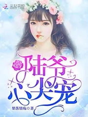 《陆爷心尖宠》小说封面