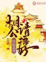 《相公请捂好你的马甲》小说封面