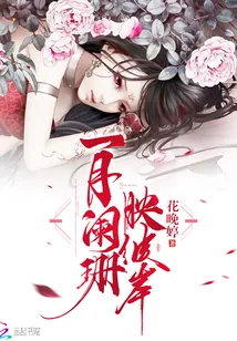 《一月阑珊映彼岸》小说封面