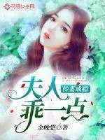 《怜妻成瘾：夫人，乖一点》小说封面