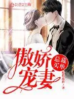 《傲娇宠妻：总裁买单》小说封面