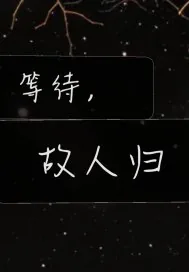 《等待，故人归》小说封面