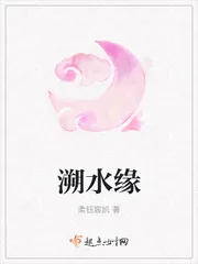 《溯水缘》小说封面