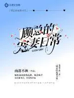 《顾总的宠妻日常》小说封面