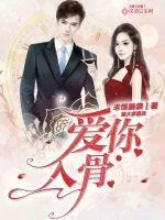 《爱你入骨》小说封面