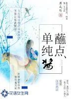 《蘸点单纯酱》小说封面