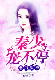 《名门暖婚：秦少宠不停》小说封面