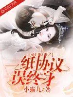 《豪门隐婚之一纸协议误终身》小说封面
