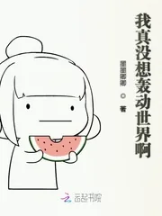 《我真没想轰动世界啊》小说封面